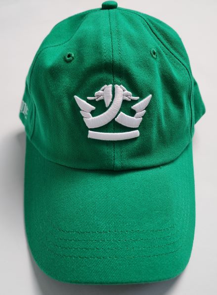 Soft Dad  Hat Green