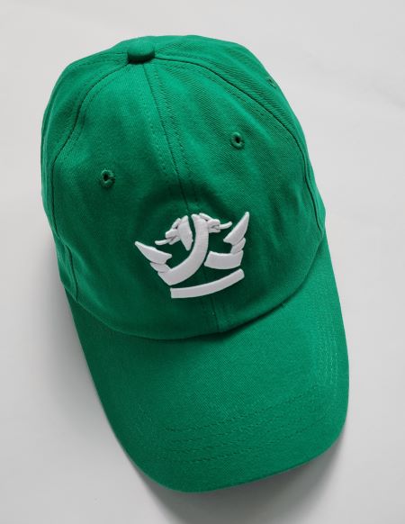 Soft Dad  Hat Green